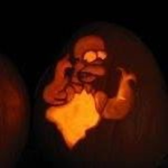 Meet your Posher, Jarrod - Picture 1 of 1